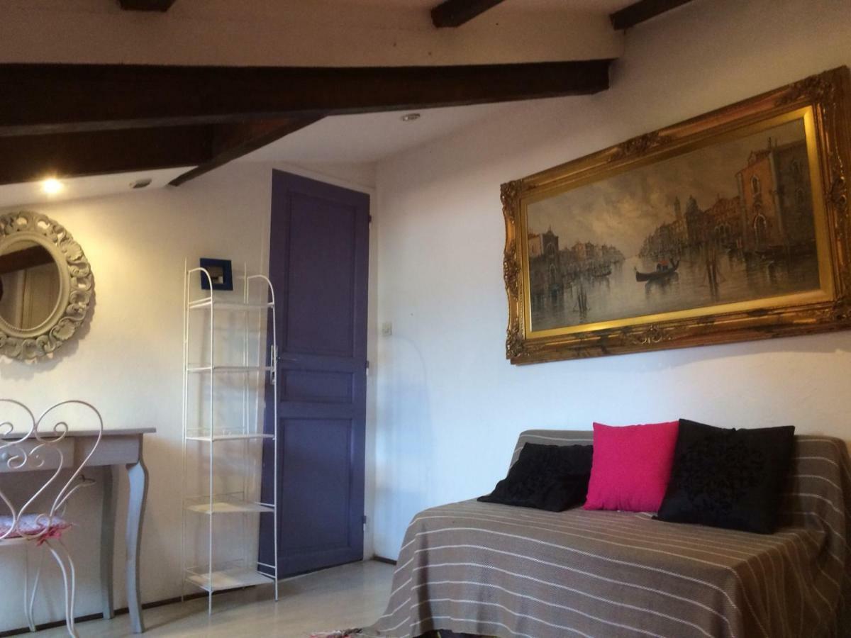 Garibaldi Mansarde Apartment Nizza